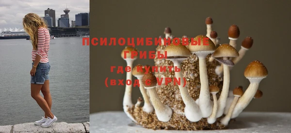 индика Лагань