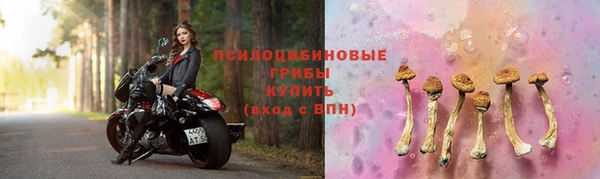 трава Чита