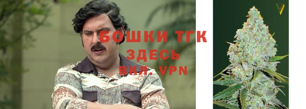 мет Ладушкин