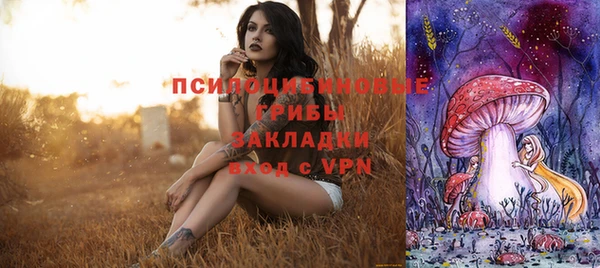 индика Лагань