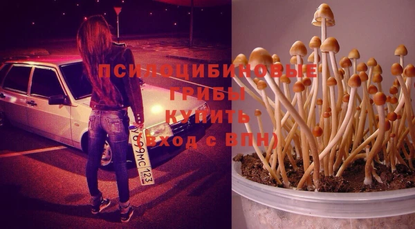 прущая мука Кулебаки