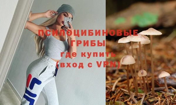 мет Ладушкин
