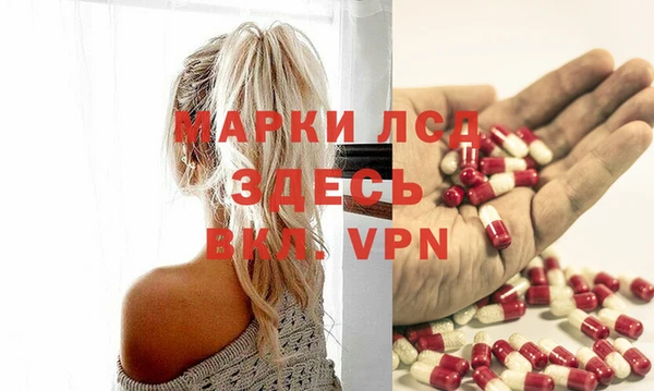 индика Лагань